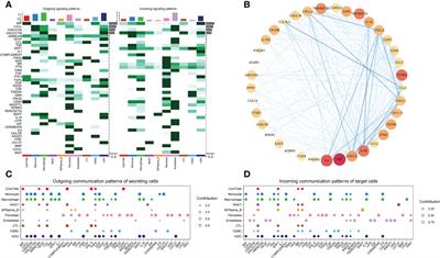 Analysis of immunogenic cell death in ascending thoracic aortic aneurysms based on single-cell sequencing data